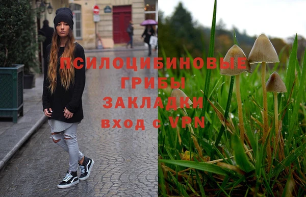 ГАЛЛЮЦИНОГЕННЫЕ ГРИБЫ Баксан