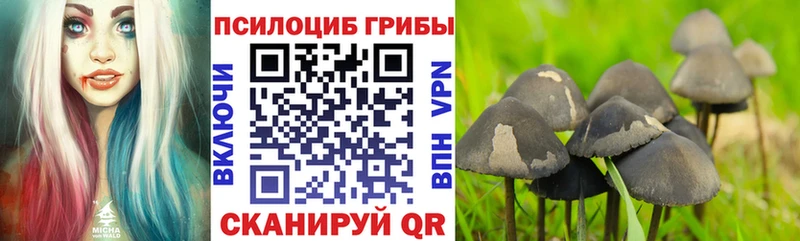 Купить закладки  Тимашёвск  Псилоцибиновые грибы прущие грибы 